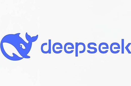 DeepSeek Review 2025