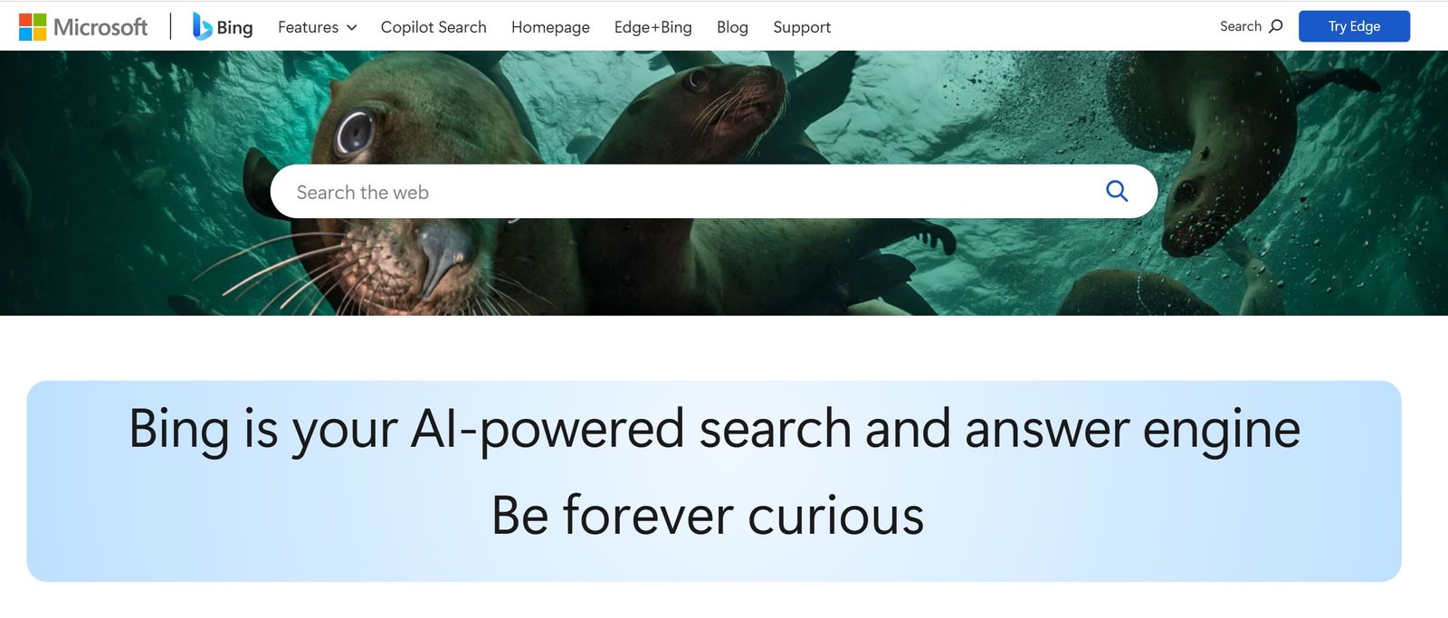 Microsoft Bing Review 2025